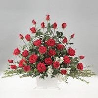 Garden Party Basket/s