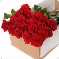 Think Of You All The Time...